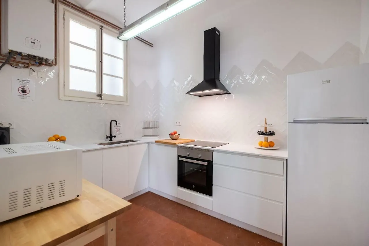 B32-Sunny And Modernist Apartment For Groups In Center Barcelona