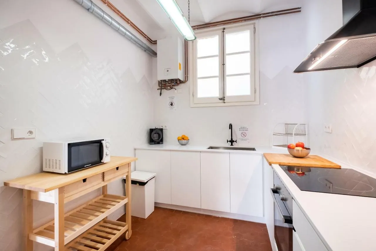 B32-Sunny And Modernist Apartment For Groups In Center Barcelona Spain